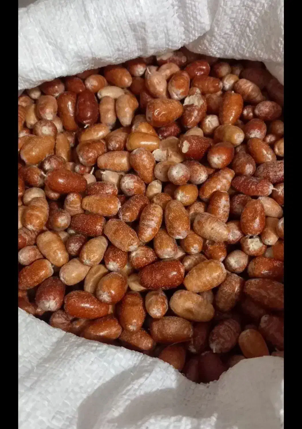 سنجد اصل زنجان|خوردنی و آشامیدنی|رباط‌کریم, رباط‌کریم|دیوار