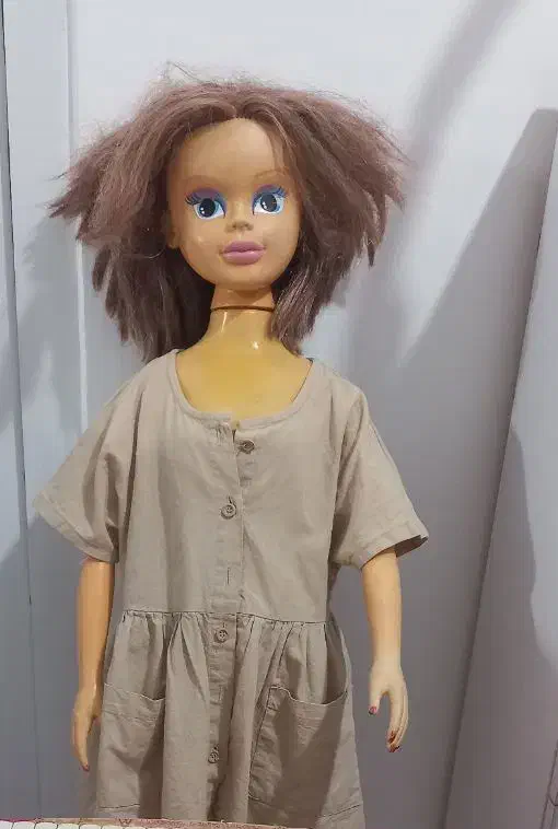 راکر عروسک اسباب بازی|اسباببازی بچه|اندیشه, اندیشه فاز ۱|دیوار