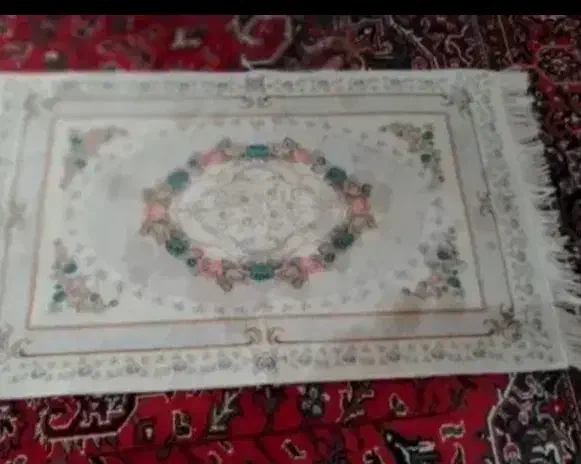 دو عدد پادری نو|پادری|تبریز, |دیوار