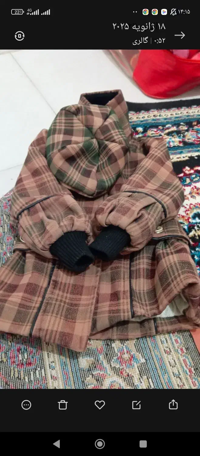 گرم کن دخترانه|لباس|زاهدان, |دیوار