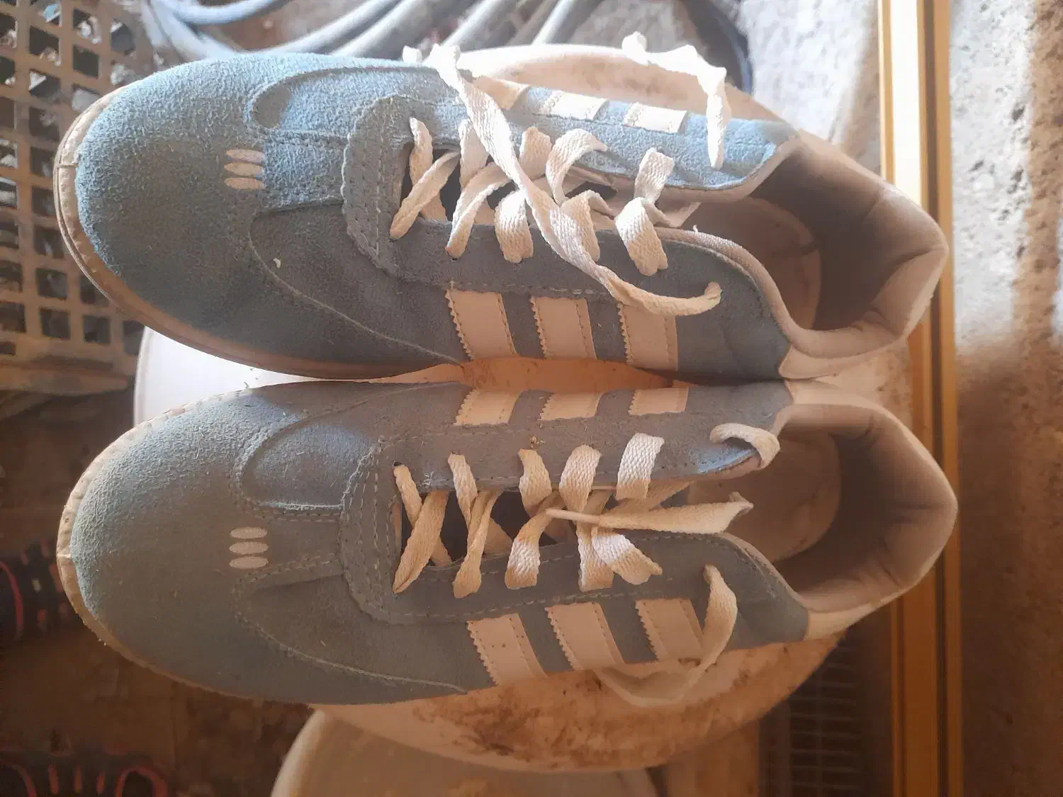 کفش ورزشی فوتسال|کیف، کفش، کمربند|قزوین, |دیوار