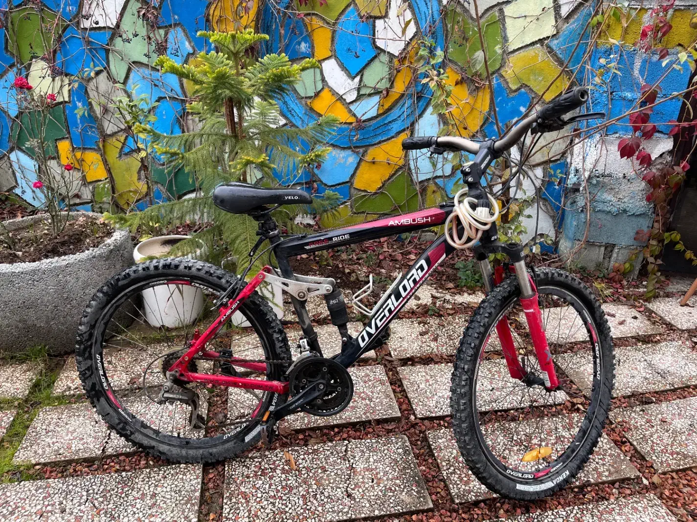 دوچرخه اورلورد سایز ۲۶|دوچرخه، اسکیت، اسکوتر|آمل, |دیوار