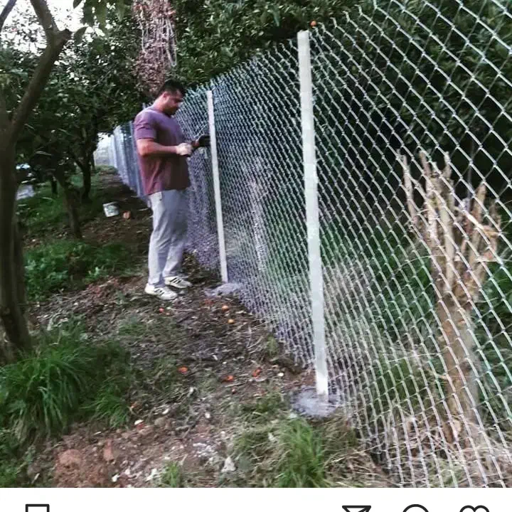 فنس وپایه|خدمات باغبانی و درختکاری|قائم‌شهر, |دیوار