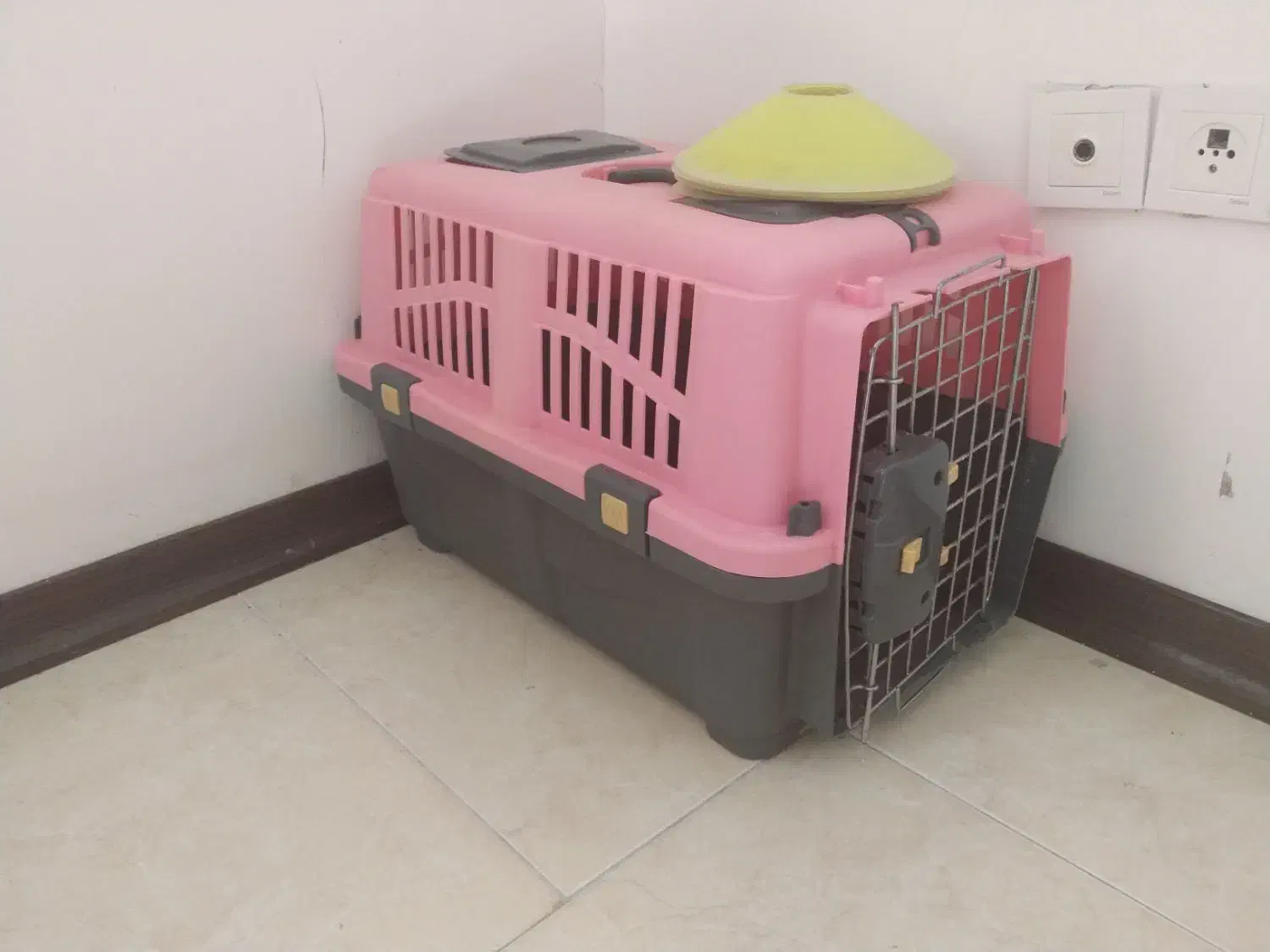 باکس حمل حیوانات|لوازم جانبی حیوانات|ساری, |دیوار