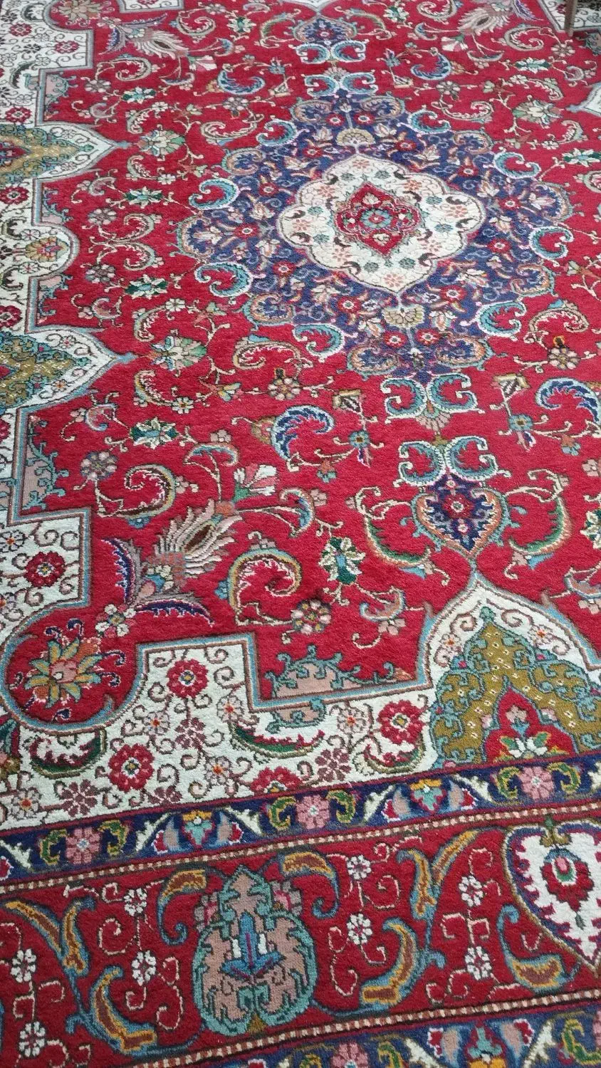 فرش 12 متری دستبافت|فرش|نوشهر, |دیوار