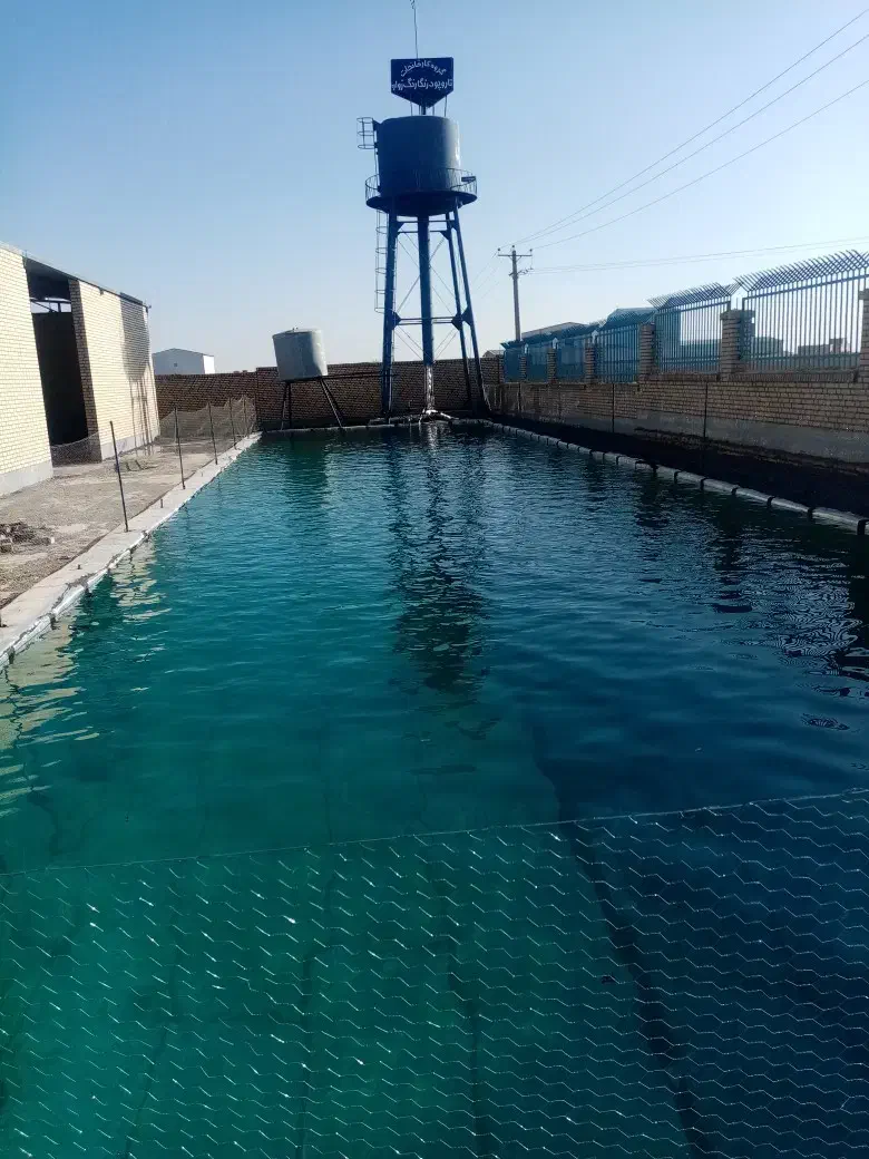رنگرزی پارچه های (کارخانه تاروپودرنگارنگ زواره)|استخدام صنعتی، فنی، مهندسی|اردستان, |دیوار