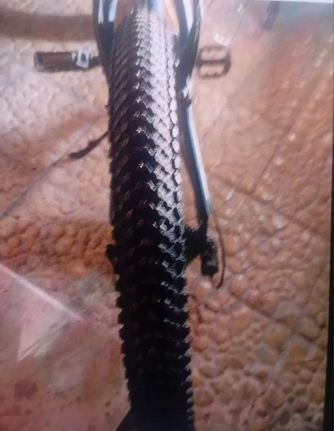 دوچرخه درحد نو نو زیر قیمت|دوچرخه، اسکیت، اسکوتر|پردیس, فاز ۴|دیوار