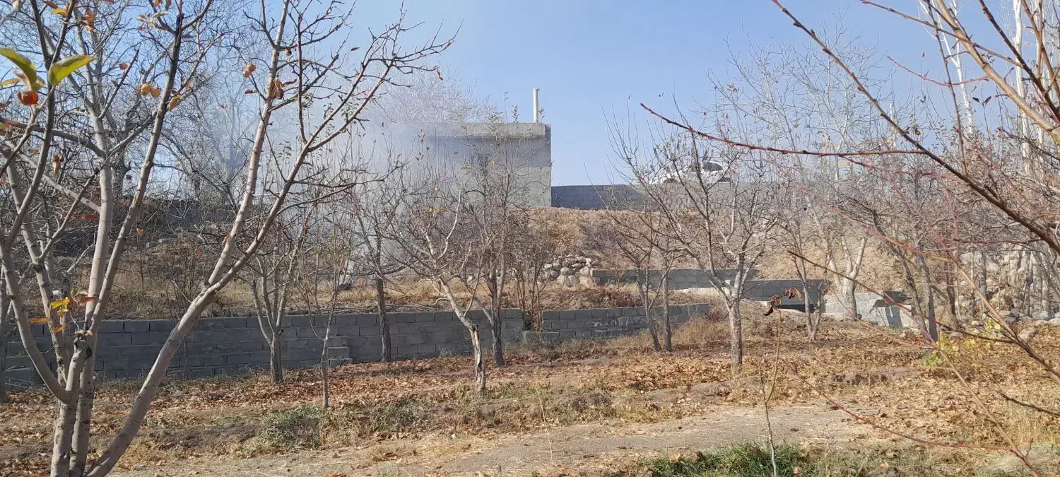 باغ ۸ من صفا باغی|فروش زمین و ملک کلنگی|بناب, |دیوار