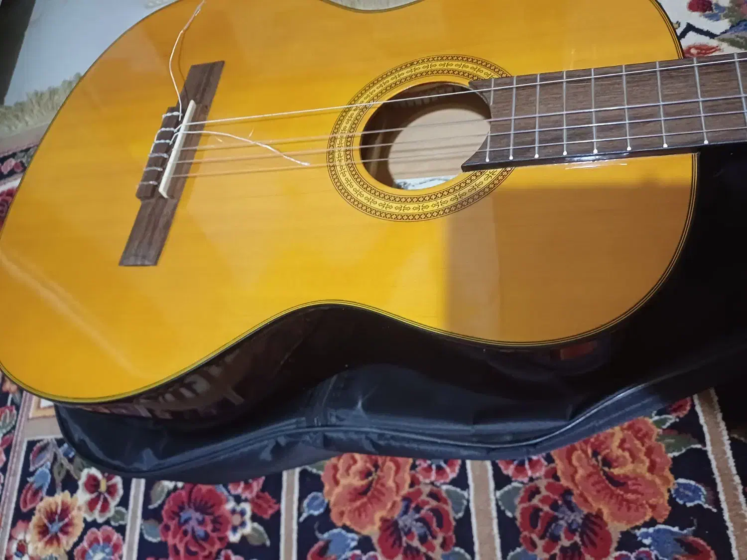 گیتار|گیتار، بیس، امپلیفایر|باقرشهر, |دیوار