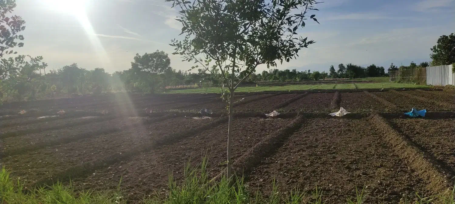 زمین مناسب باغ و باغچه|فروش زمین و ملک کلنگی|باقرشهر, |دیوار