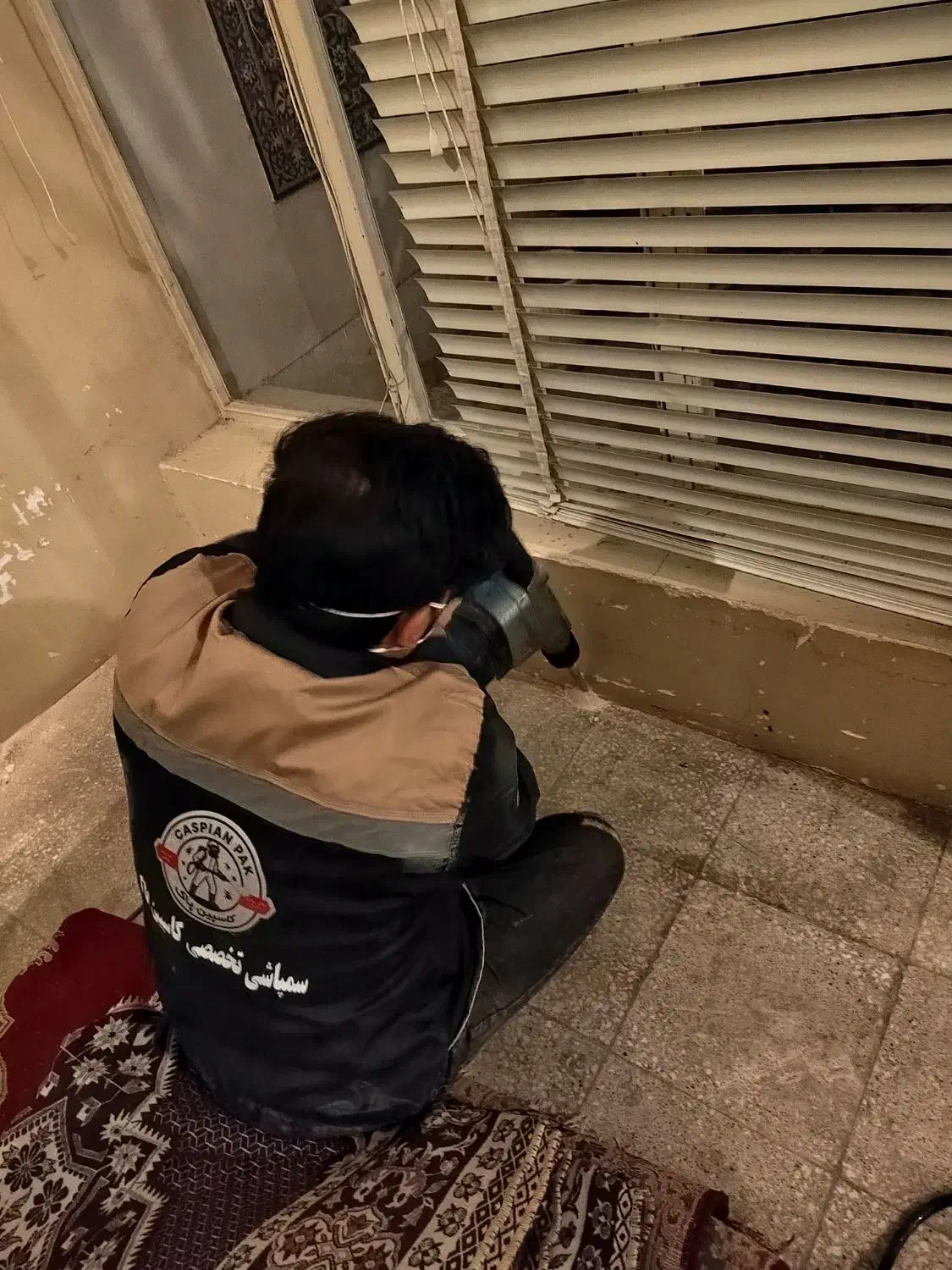 سمپاشی انواع سوسک،ساس،موش،موریانه یا ریشمیز و غیره|خدمات نظافت|شیراز, شهرک آرین|دیوار