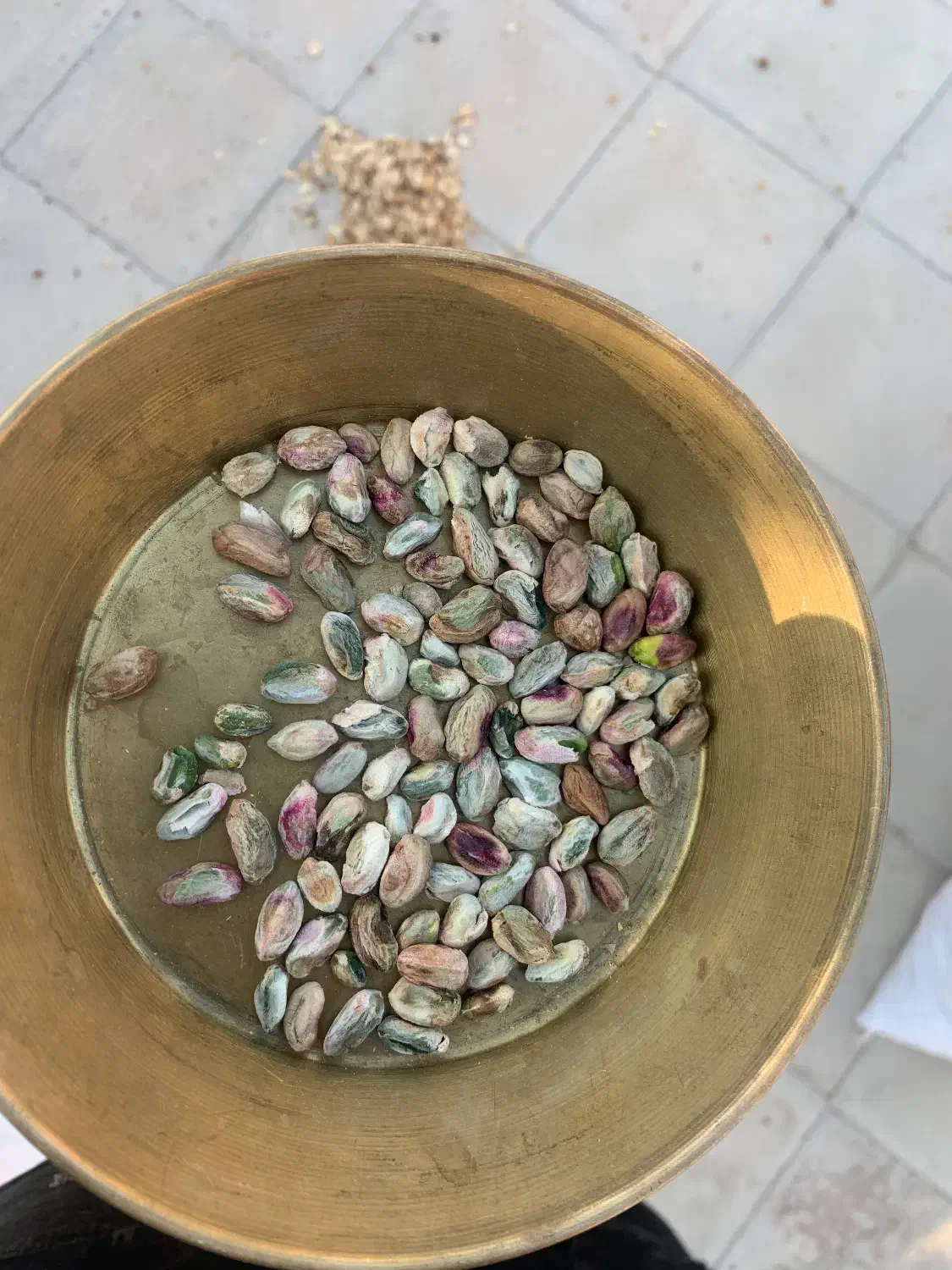 خرید پسته پوک و کلو و روابی|خدمات باغبانی و درختکاری|مروست, |دیوار