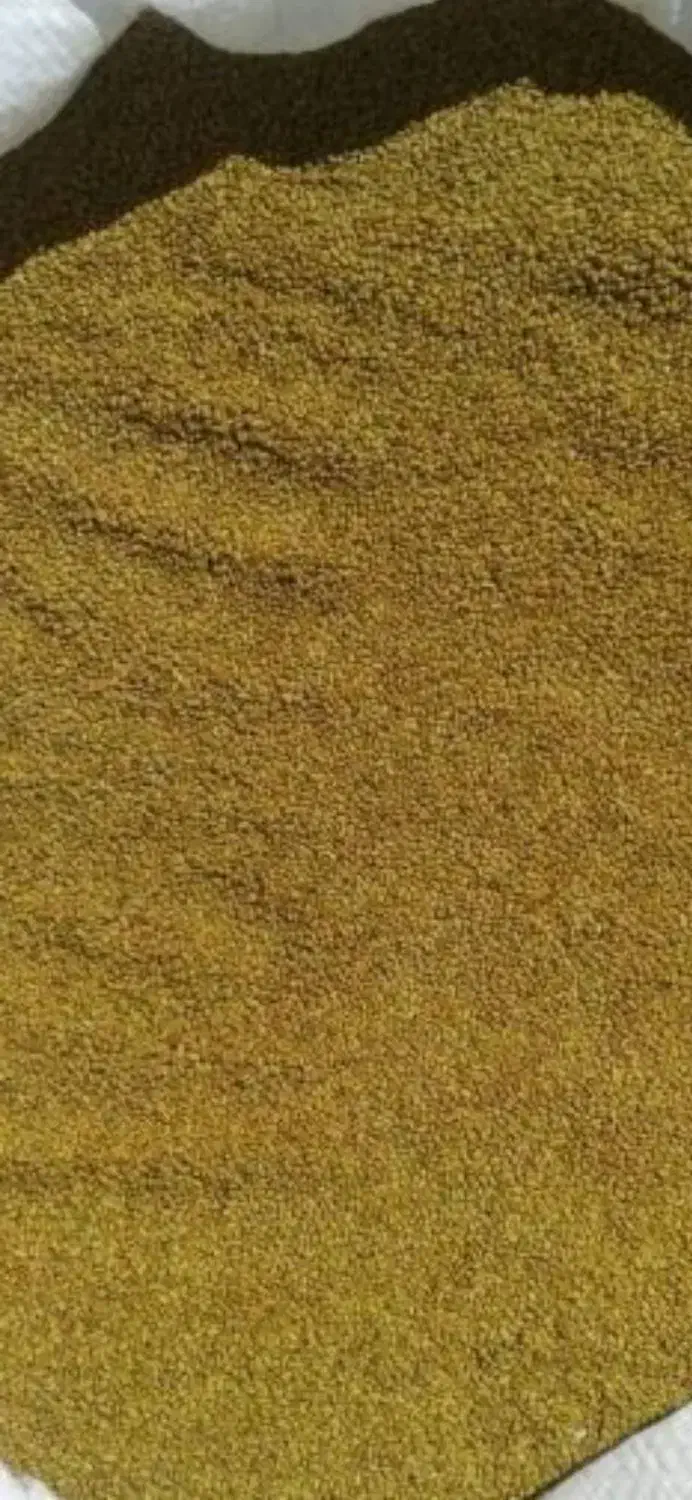 بذر قره یونجه|خدمات باغبانی و درختکاری|شیراز, دارالرحمه|دیوار