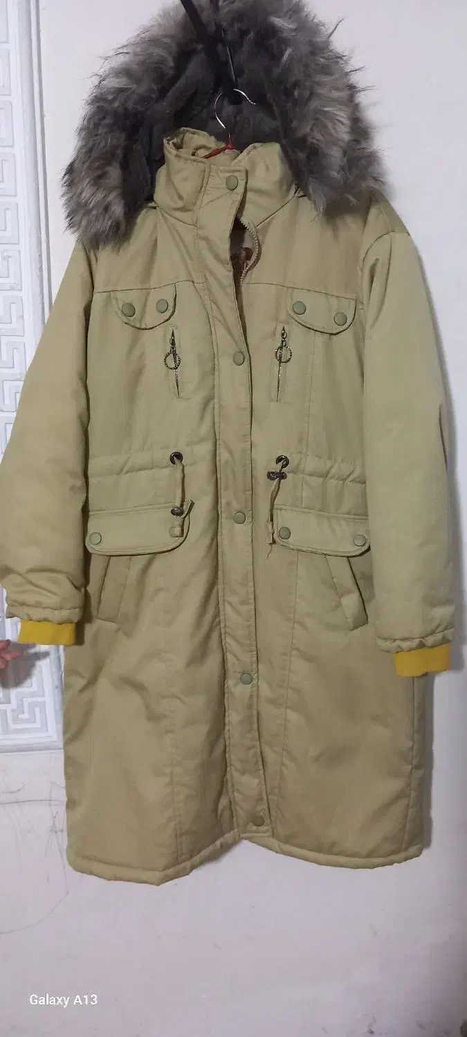 پالتو|لباس|فردیس, سپید دشت|دیوار