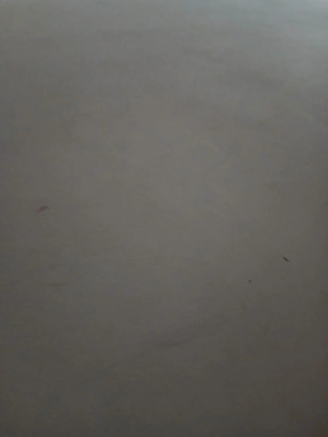 گچکاری و لکه گیری|خدمات پیشه و مهارت|سبزوار, کهنه آب|دیوار