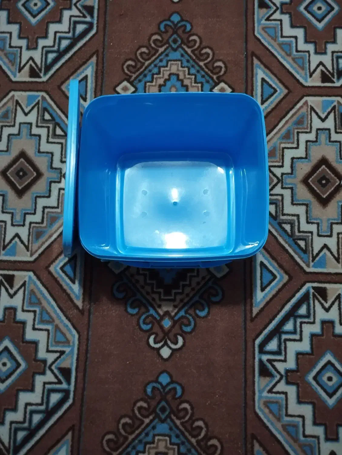 ظروف نگهدارنده|ظروف نگهدارنده، پلاستیکی، یک‌بارمصرف|بندرعباس, |دیوار