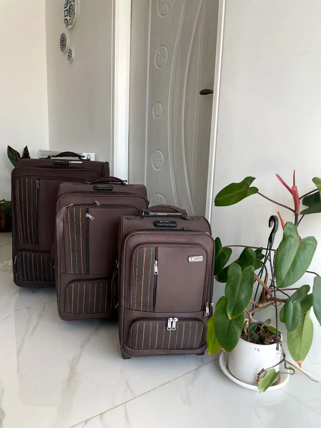 چمدان 3 تایی|کیف، کفش، کمربند|صدرا-فارس, فاز ۱|دیوار