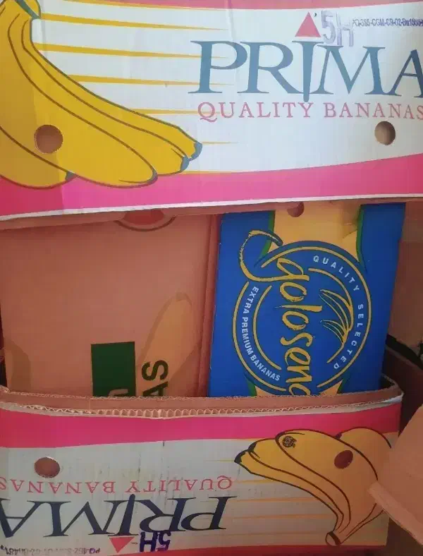 جعبه موز|ظروف نگهدارنده، پلاستیکی، یک‌بارمصرف|مشهد, امیریه|دیوار