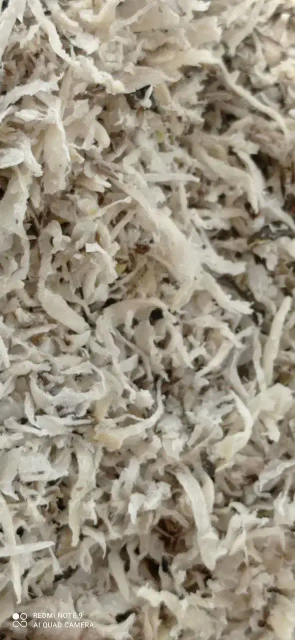 توفال چغندرقند|لوازم جانبی حیوانات|بیرجند, |دیوار