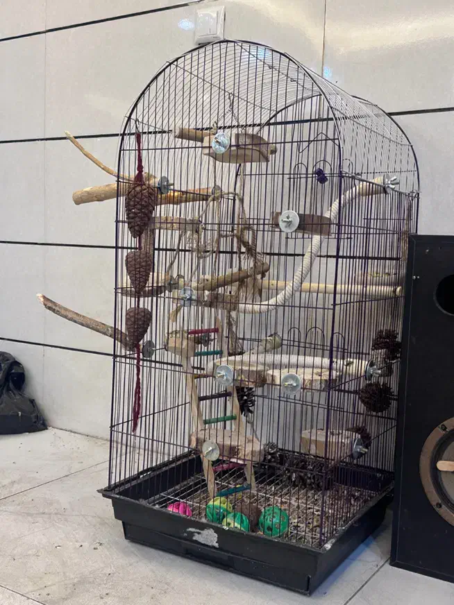 قفس بزرگ پرنده|لوازم جانبی حیوانات|خوی, |دیوار