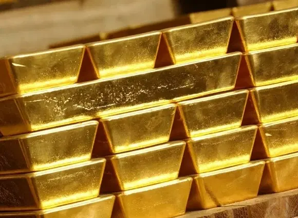 طلا|فعالیت داوطلبانه|تهران, ولنجک|دیوار