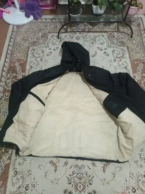 کاپشن|لباس|گلبهار, شهر جدید گلبهار|دیوار