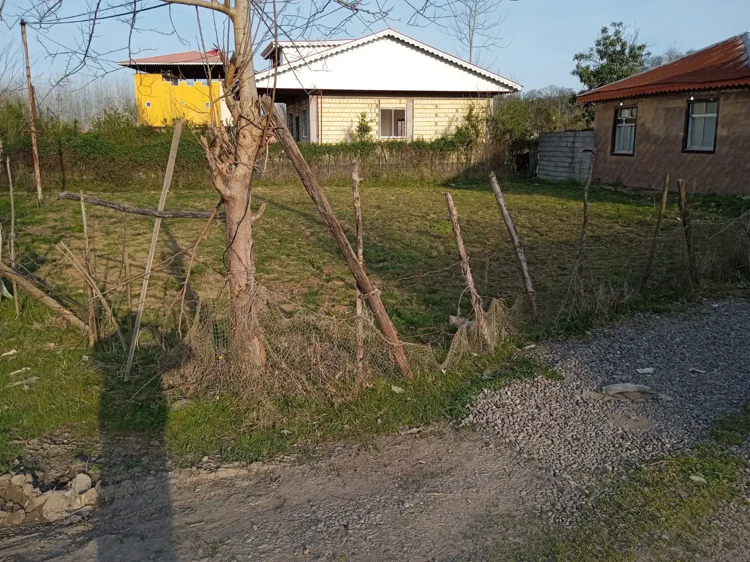 فروش زمین|فروش زمین و ملک کلنگی|ضیابر, |دیوار