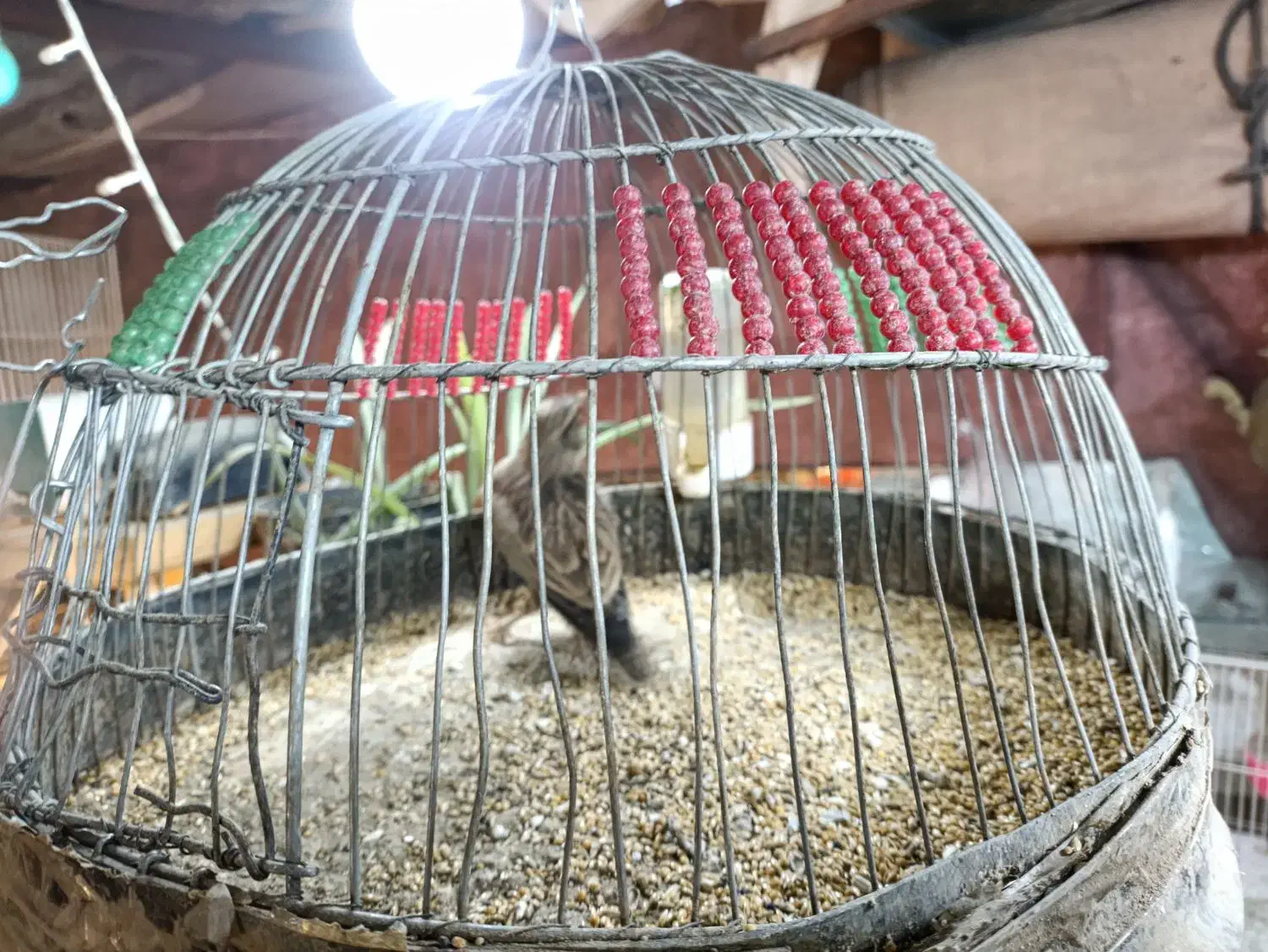 چکاوگ|حراج|مشهد, ایثار|دیوار