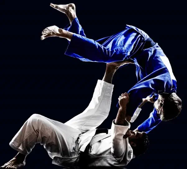 آموزش دفاع شخصی|خدمات آموزشی|شیراز, تندگویان|دیوار