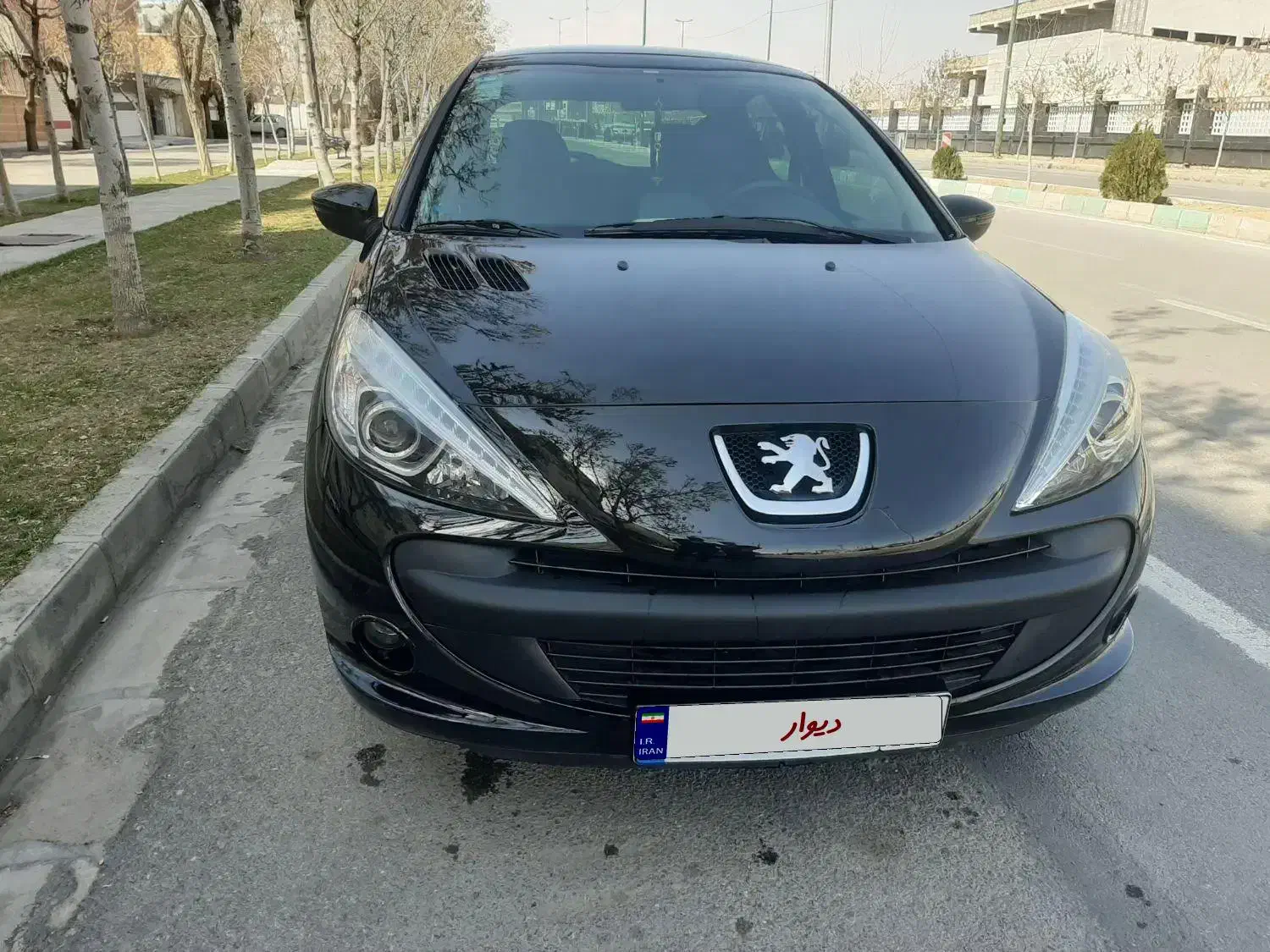 ۲۰۷ پانا|خودرو سواری و وانت|اراک, |دیوار