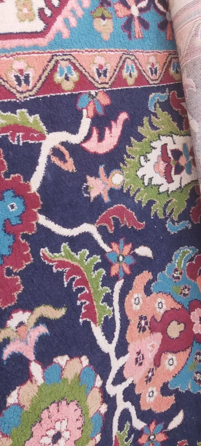 فرش ۶ متری|فرش|شاهرود, |دیوار