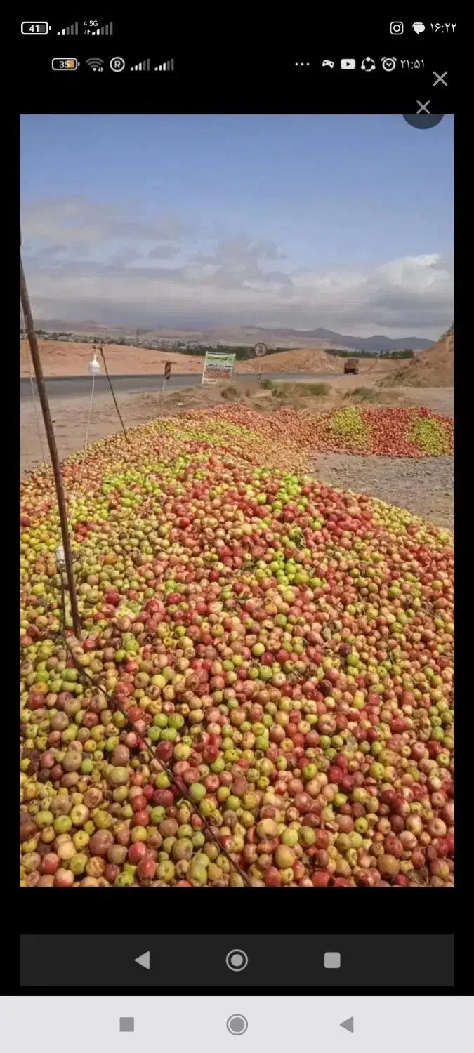 خریدارسیب ابگیری..ضایعات|خدمات باغبانی و درختکاری|زنجان, |دیوار