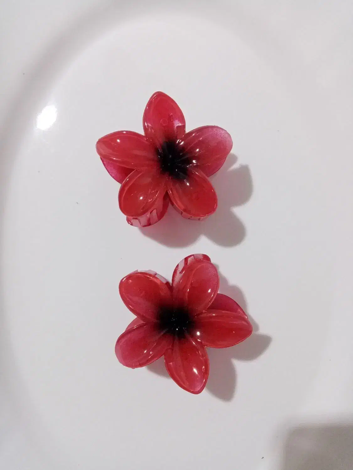 تمامی پلومریا ها ۶ سانتی فقط و فقط 30 هزار تومان|زیورآلات و اکسسوری|فیروزکوه, |دیوار