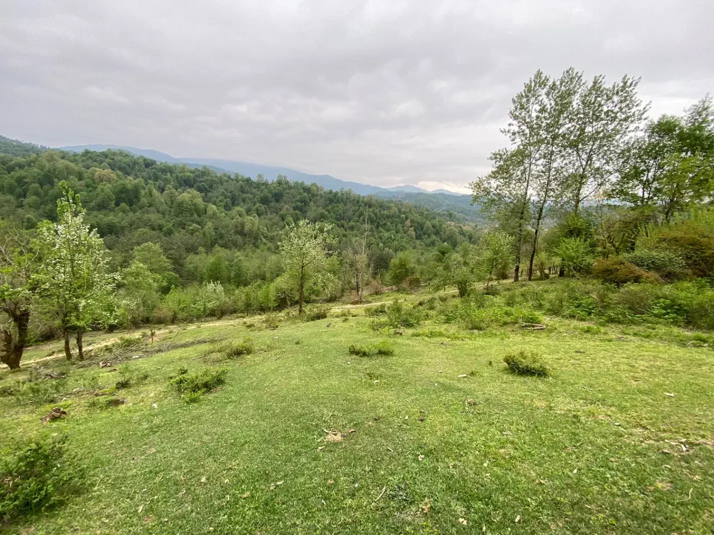 زمین روستایی (1500متری کوهپایه)  در شهرستان سیاهکل|فروش زمین و ملک کلنگی|رشت, گیل|دیوار