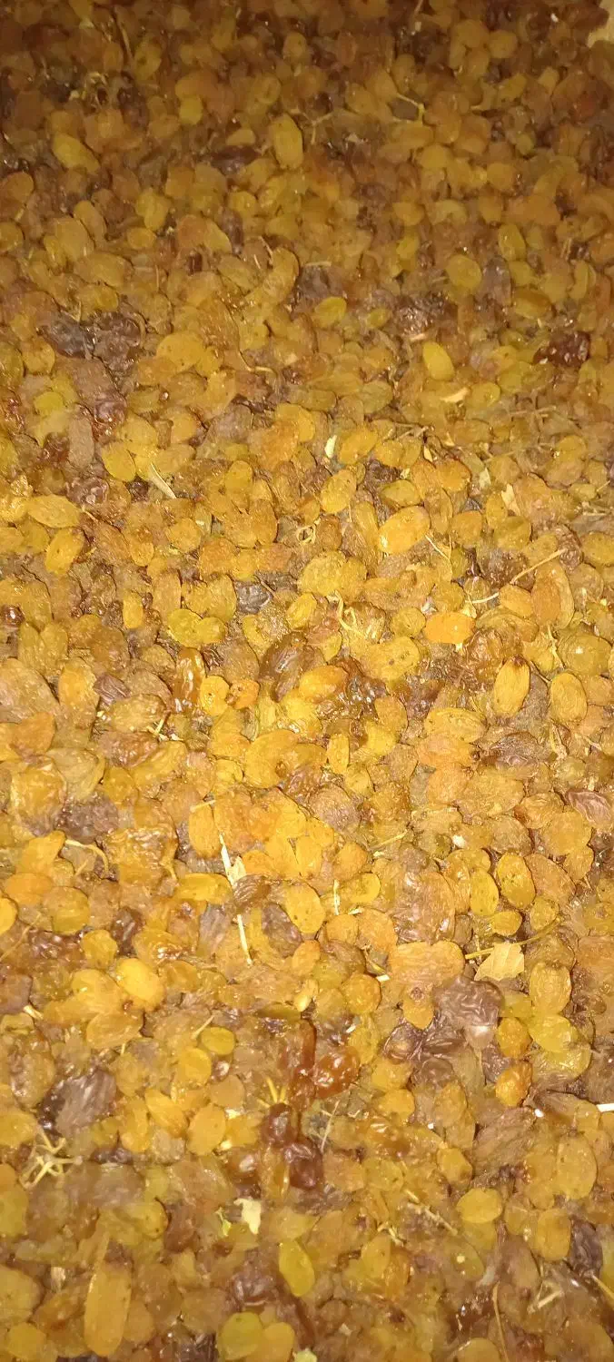 سبزه ،کشمشو مویز اعلا|خوردنی و آشامیدنی|نوشین شهر, |دیوار