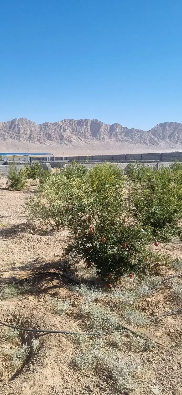 استخدام نگهبان|استخدام سرایداری و نظافت|شهرضا, |دیوار