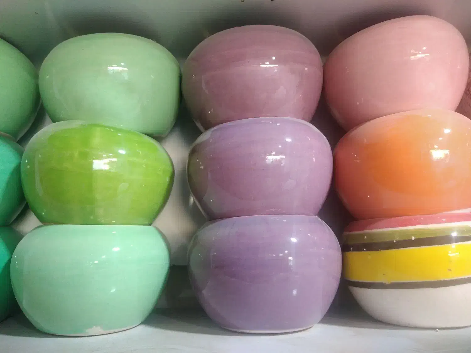 گلدان سرامیکی کاکتوسی|گل و گیاه طبیعی|شیراز, شیخ علی چوپان|دیوار