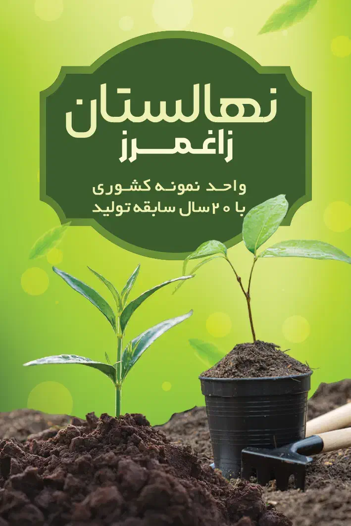 سرو خمره ای|گل و گیاه طبیعی|ساری, |دیوار