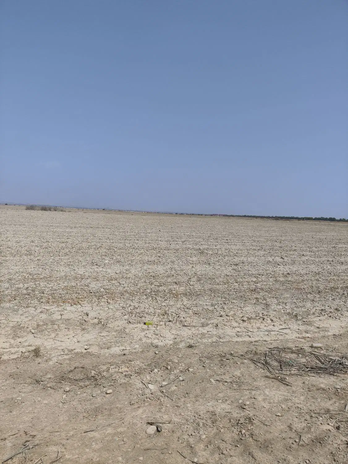 زمین کشاورزی|فروش دفتر صنعتی، کشاورزی، تجاری|برازجان, |دیوار