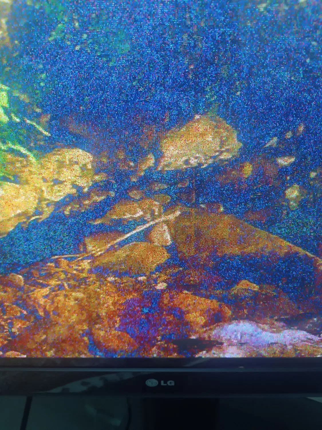 تلویزیون ال جی 42 دستگاه دیجیتال در حد نو|تلویزیون و پروژکتور|مشهد, امیر|دیوار