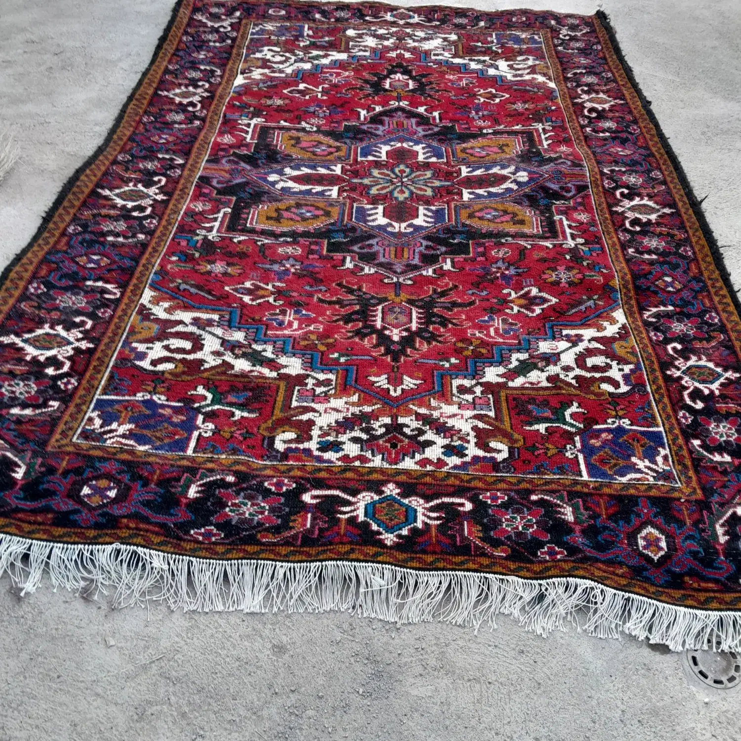 فرش|فرش|سهند, |دیوار