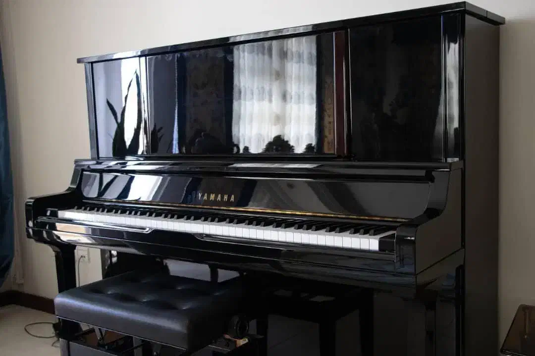 »معتبرترین سازپیانوهاموجوده شرایط ویژه اقساط|پیانو، کیبورد، آکاردئون|نطنز, |دیوار