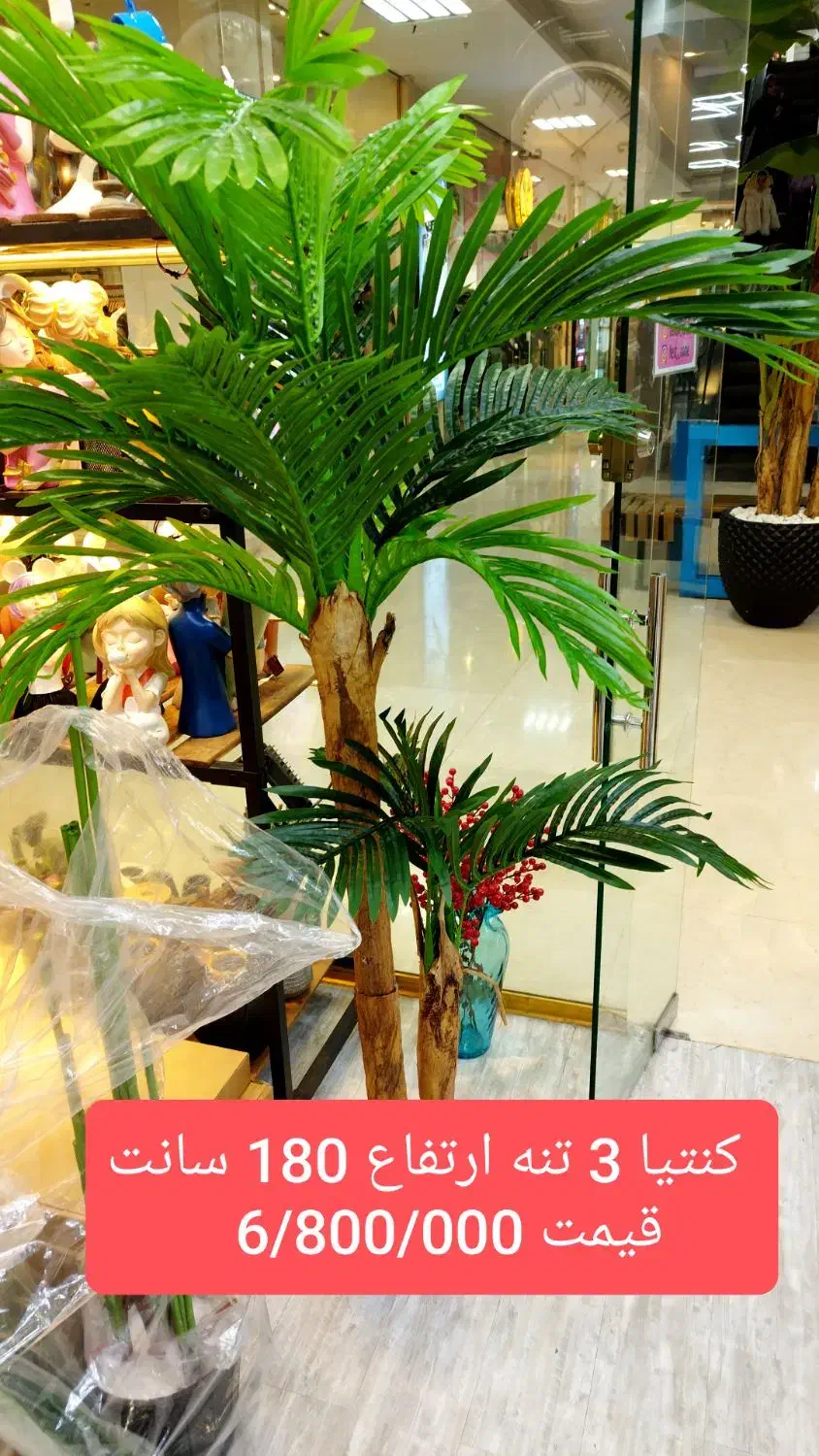 درختچه موز|گل مصنوعی|فردیس, فردیس|دیوار