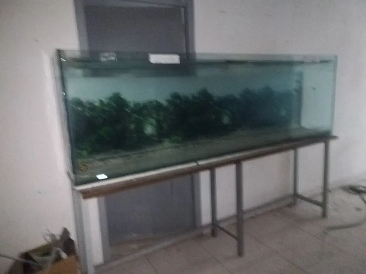 اکواریوم سایز بزرگ ۲.۵طول ارتفاع ۸۰|ماهی|گرگان, |دیوار