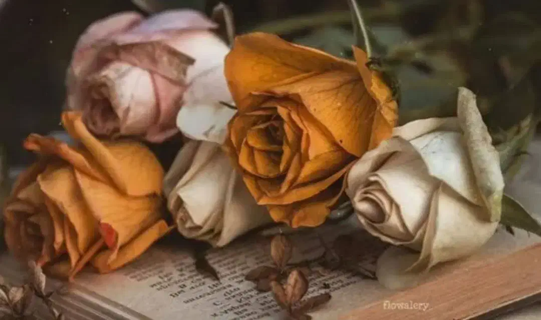 پک چاقی و پک لاغری|حراج|پرند, فاز ۵|دیوار