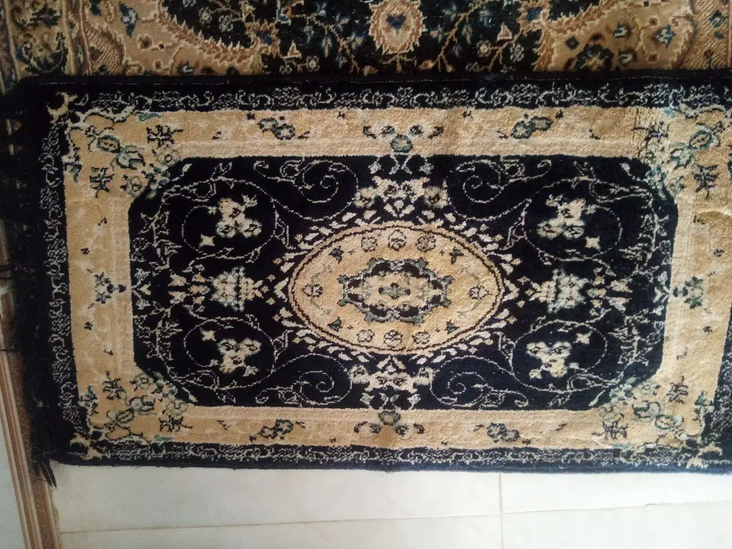 پادری همه باهم یک تومن|پادری|بیرجند, |دیوار