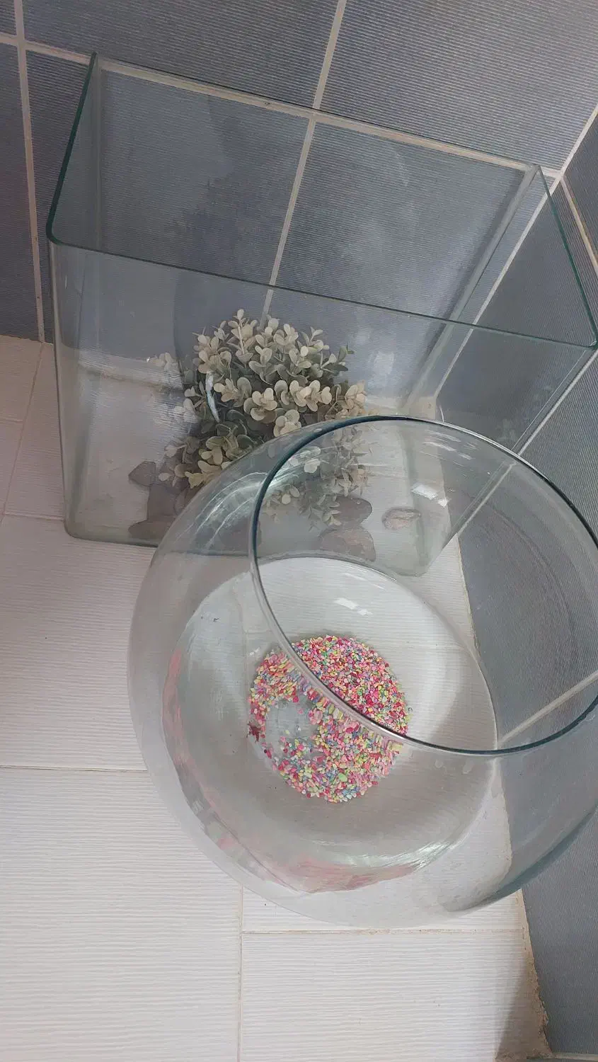 سه تا اکواریوم|ماهی|مشهد, کوثر|دیوار