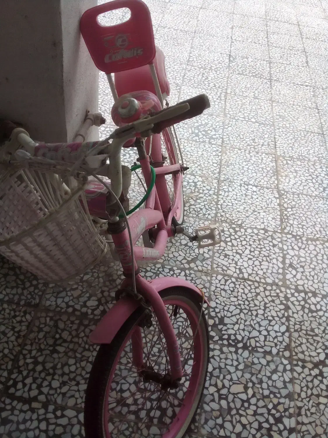 دوچرخه|دوچرخه، اسکیت، اسکوتر|بندر انزلی, کارآموزی|دیوار