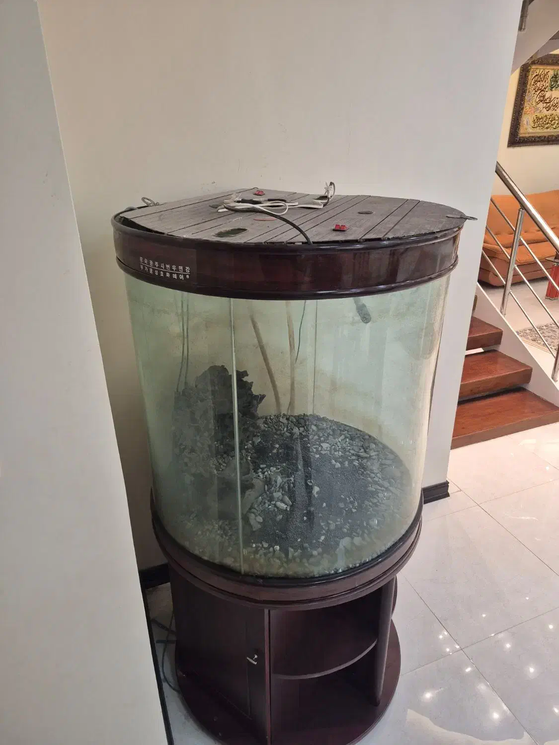 آکواریوم|ماهی|بندرعباس, |دیوار