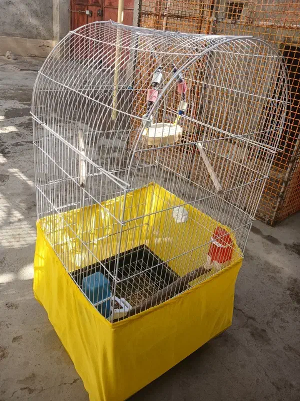 قفس طوطی|لوازم جانبی حیوانات|تاکستان, |دیوار